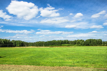 Obraz premium Green field and blue sky with white clouds.