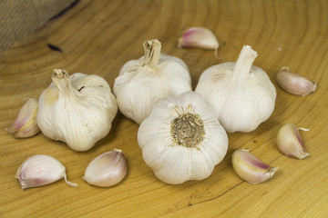 Garlic form Oganic farm on sack background