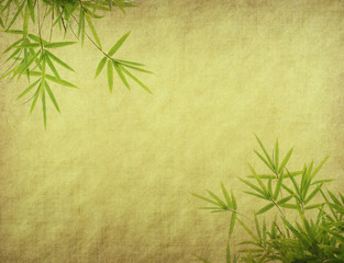 bamboo on old grunge paper texture background