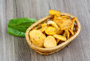 Chanterelle