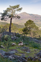 Pico Guisando en la Sierra de Gredos