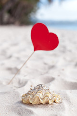Fototapeta premium Romantic tropical scene on beach