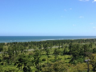 Obraz premium ホテルからの眺め