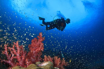 Fotobehang Scuba Diving on coral reef in ocean © Richard Carey