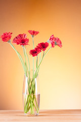 Gerbera in a glass vase