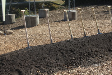 Spatenreihe in einem Erdwall für einen Spatenstich