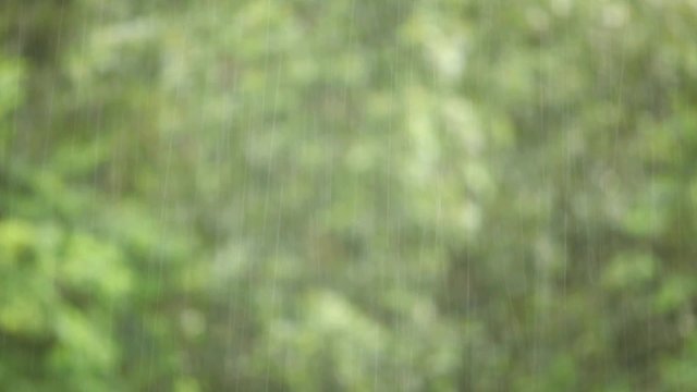 HD 1080 static: summer rain with blurry treetops in background; 