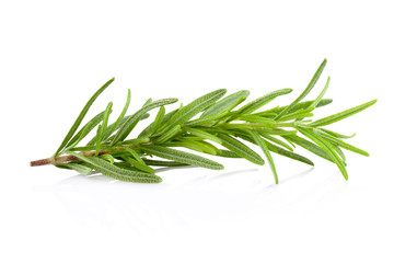 rosemary isolated on white background