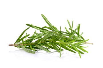 rosemary isolated on white background