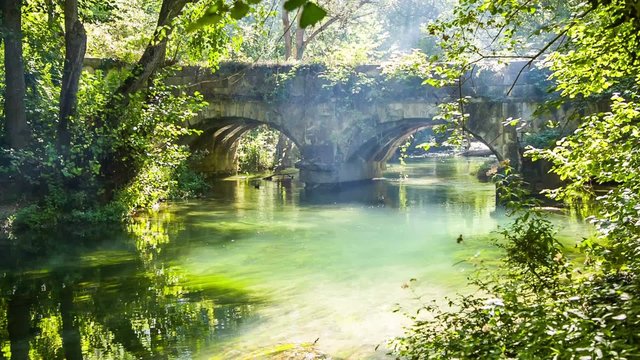 Old Bridge In Green Forest With Flowing River