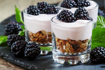 Homemade granola with yogurt and blackberry in glass bowls, heal