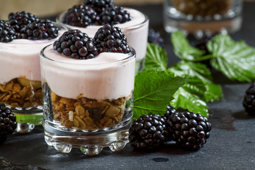 Homemade granola with yogurt and blackberry in glass bowls, heal