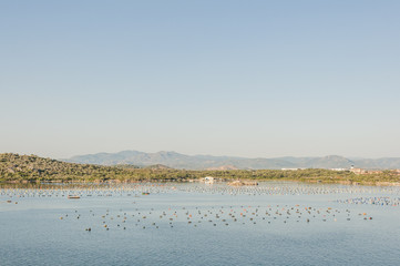 Olbia, Stadt, Hafenstadt, Hafeneinfahrt, Sardinien, Muschelzucht, Muschelernte, Mittelmeer, Insel, Sommer, Badeferien, Italien