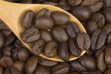 Roasted coffee beans