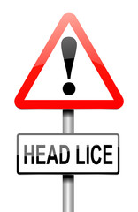 Head lice concept.