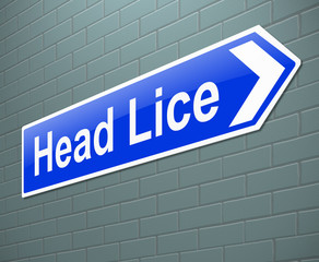 Head lice concept.