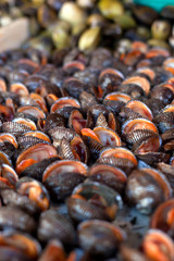 Fresh seafood in asian market