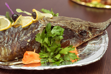 sturgeon 
