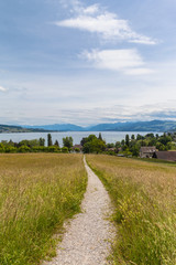 Beautiful view of Zurich lake and the alps