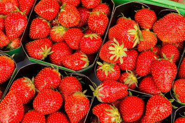 Beautiful red strawberries in the street market