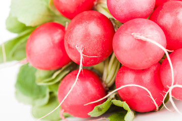 Pile of garden radish