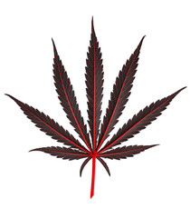black cannabis leaf with main leaf veins in red isolated on whi