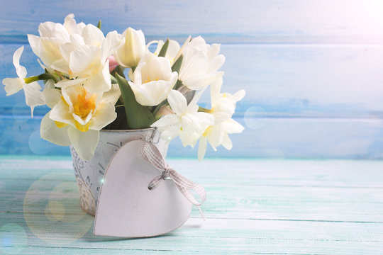 Background with fresh narcissus and tulips in bucket and decorat