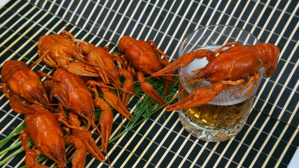 Beer, boiled crawfish with lemon and dill