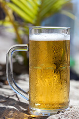 Glasses of beer on beach