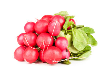 Pile of garden radish