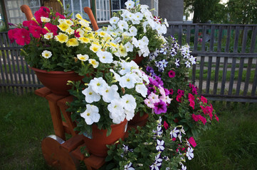 stair decoration flower garden