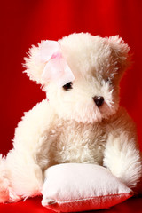 Teddy bear.
Teddy bear on a red background.