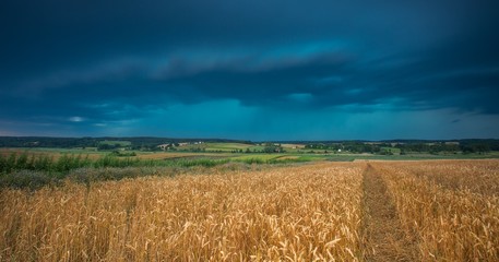 Stormy sky over field