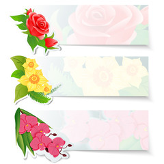 Set of three colorful web banners with different flowers. Red roses bud, yellow daffodils and pink orchid.