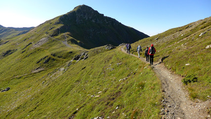 Obraz premium Karnischer Höhenweg - Weg durch die Wiese