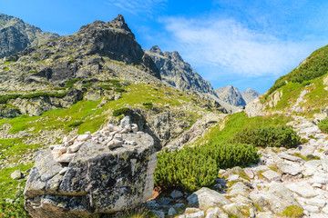 Fototapeta na wymiar Hiking trail to Starolesna valley in High Tatra Mountains on sunny summer day, Slovakia