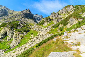 Young woman backpacker on hiking trail in High Tatra Mountains on sunny summer day, Slovakia