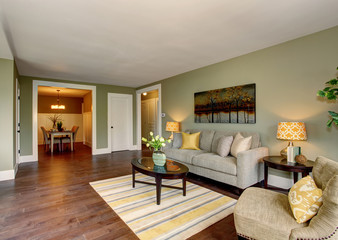 Lovely living room with green and yellow theme.