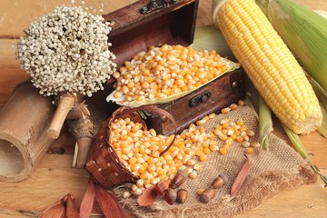 Yellow dry corn grain and corn fresh.