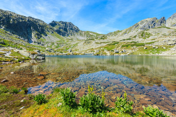 View of beautiful alpine lake in summer landscape of Starolesna valley, High Tatra Mountains, Slovakia