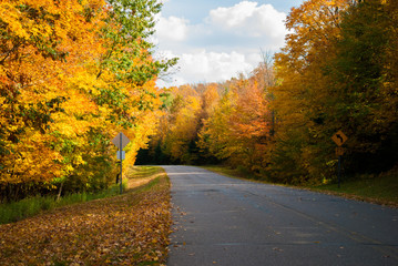 Fall in Northern Wisconsin