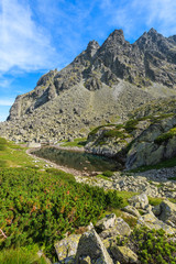 Obraz premium View of beautiful alpine lake in summer landscape of Starolesna valley, High Tatra Mountains, Slovakia