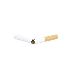 Cigarettes on white
