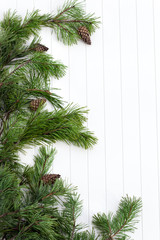 Spruce tree branches frame, evergreen garland