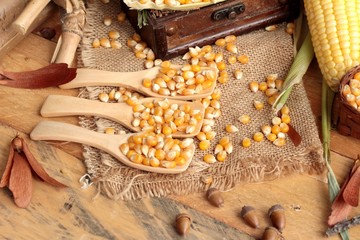 Yellow dry corn grain and corn fresh.