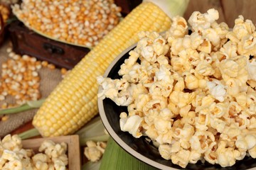 Popcorn and yellow dry corn grain with fresh corn.