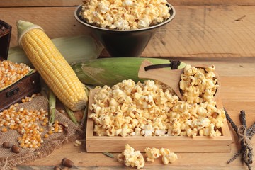 Popcorn and yellow dry corn grain with fresh corn.