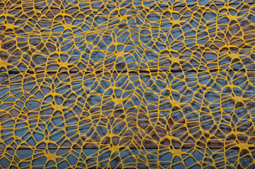 Ozdoba -siatka © amadeusz