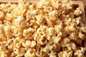 Popcorn and yellow dry corn grain with fresh corn.