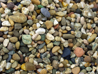 Multicolored sea pebbles